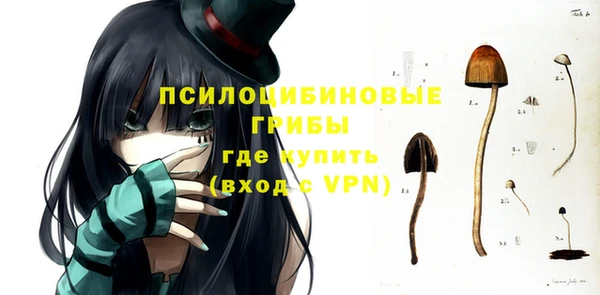 альфа пвп Белокуриха