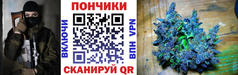 Купить  Мирный  Конопля сатива 